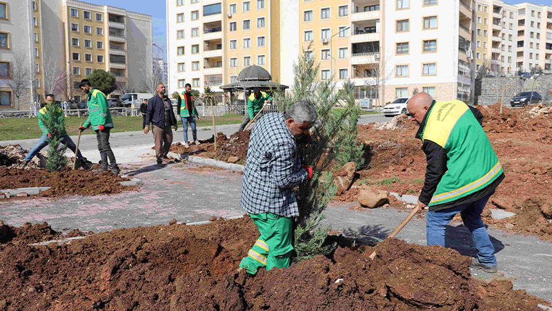 Seyrantepe'de 21 bin metrekarelik yeşil alan için çalışmalar sürüyor